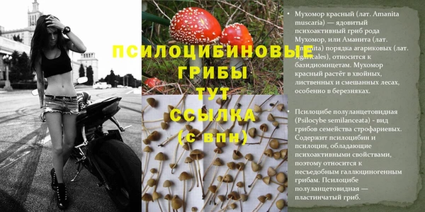 а пвп мука Новозыбков