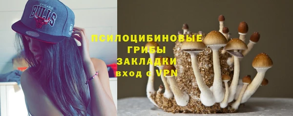 таблы Новодвинск