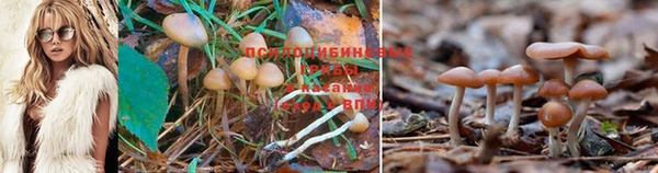 таблы Новодвинск