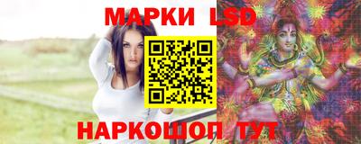гидропоника Камышлов