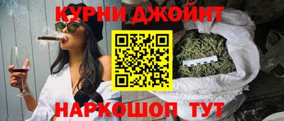 гидропоника Камышлов