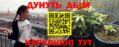 гидропоника Камышлов